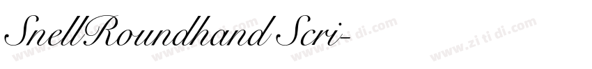 SnellRoundhand Scri字体转换